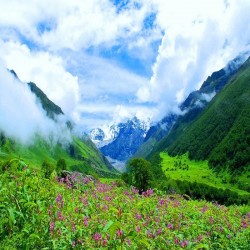 Best of Kumaon Hills 5N/6D